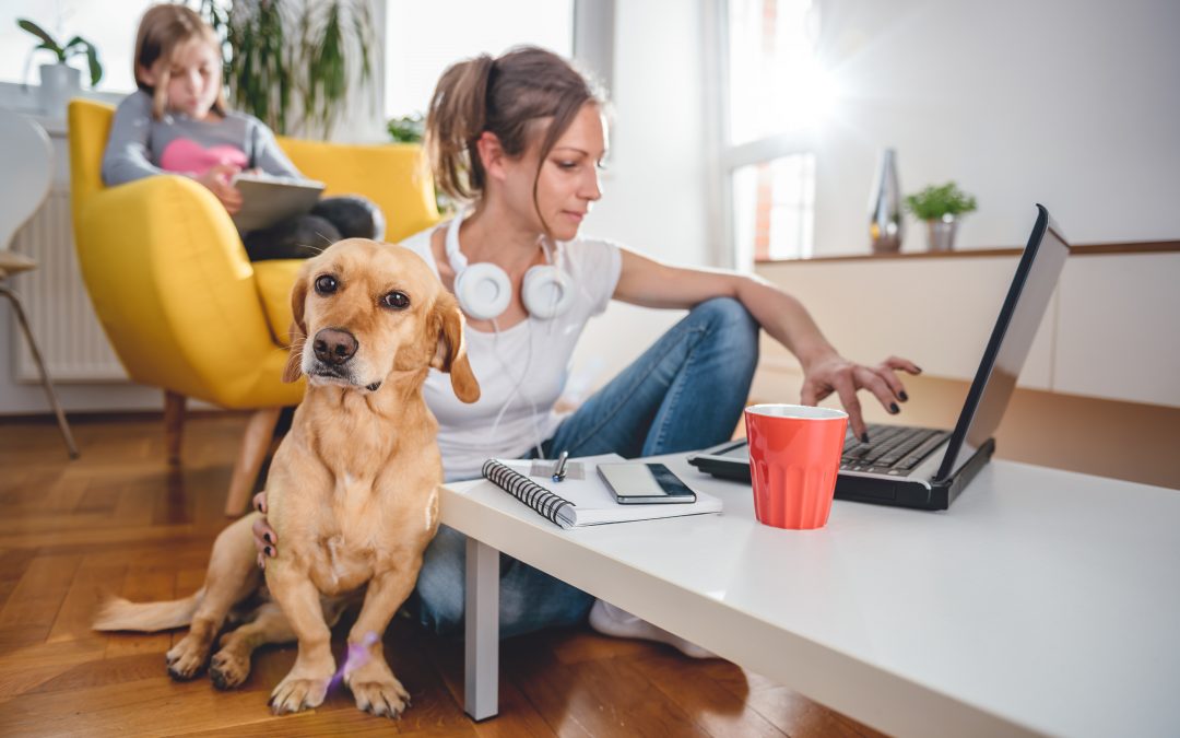 How can I improve my WiFi?